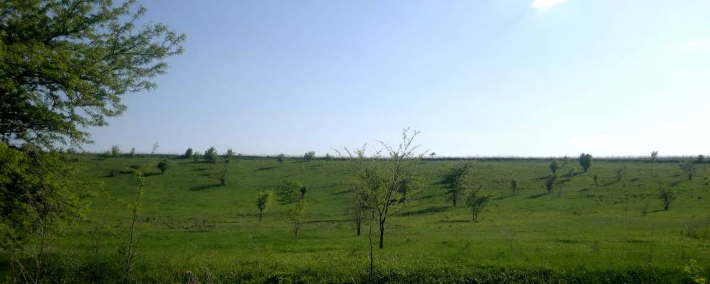 
            Фотография Красного