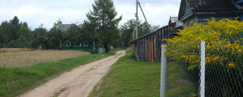 Фотография Ровного Бора