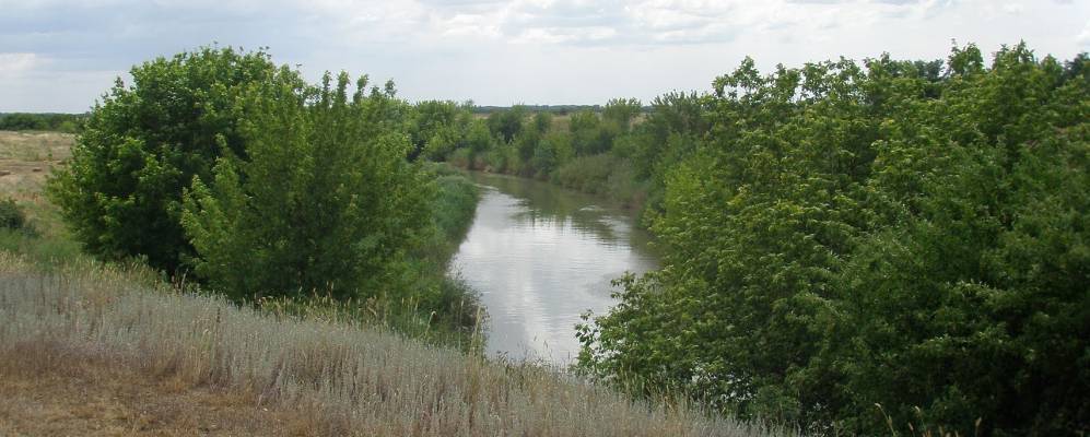 
            Фотография Степного