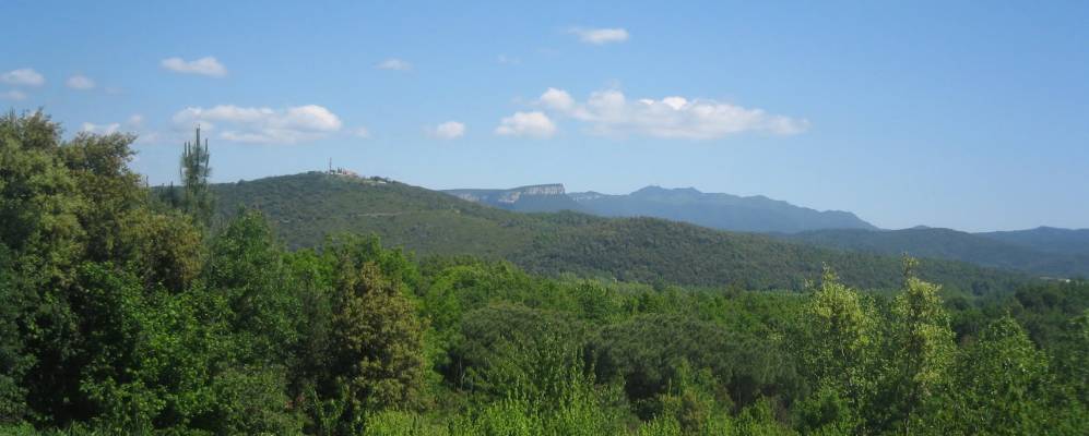 
            Фотография Anglés