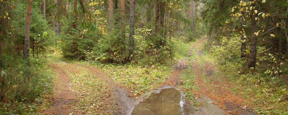 Фотография Леунино