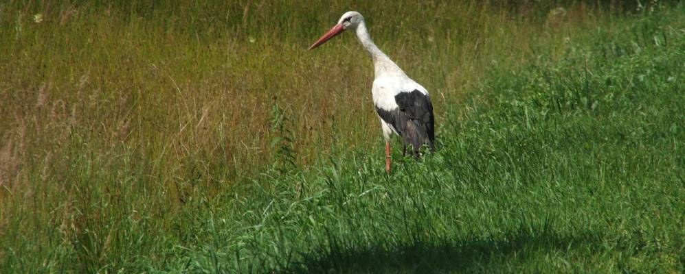 Фотография Жоровки