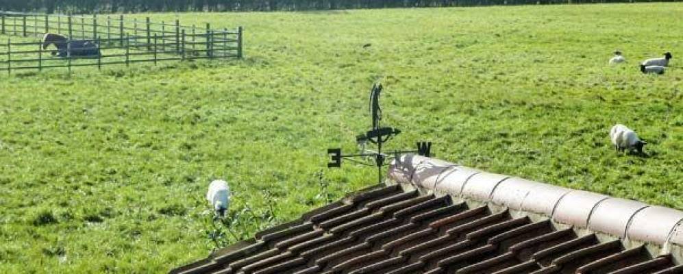 
            Фотография Дентона