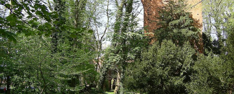 
            Фотография Беетцендорфа