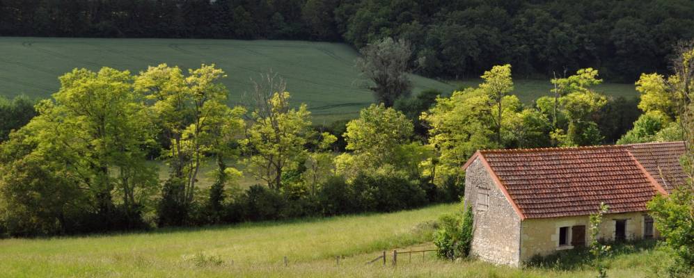 
            Фотография Люсе-лё-Маля