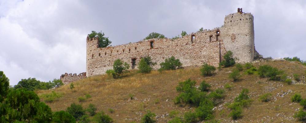 
            Фотография Павлова