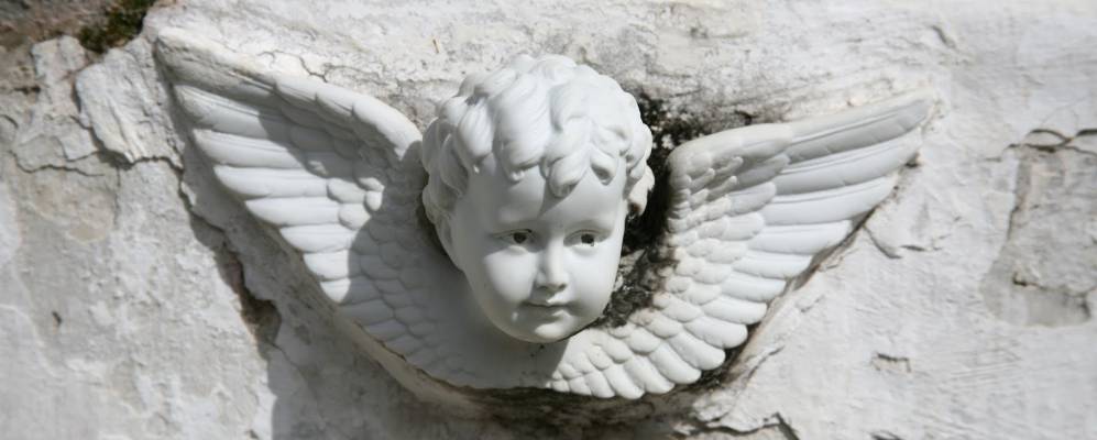 
            Фотография Ривье-Пилота