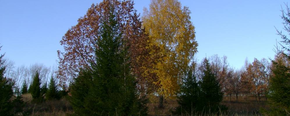 
            Фотография Севадыбашево