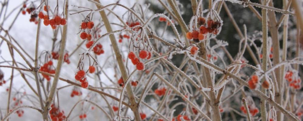 
            Фотография Нового Яваша