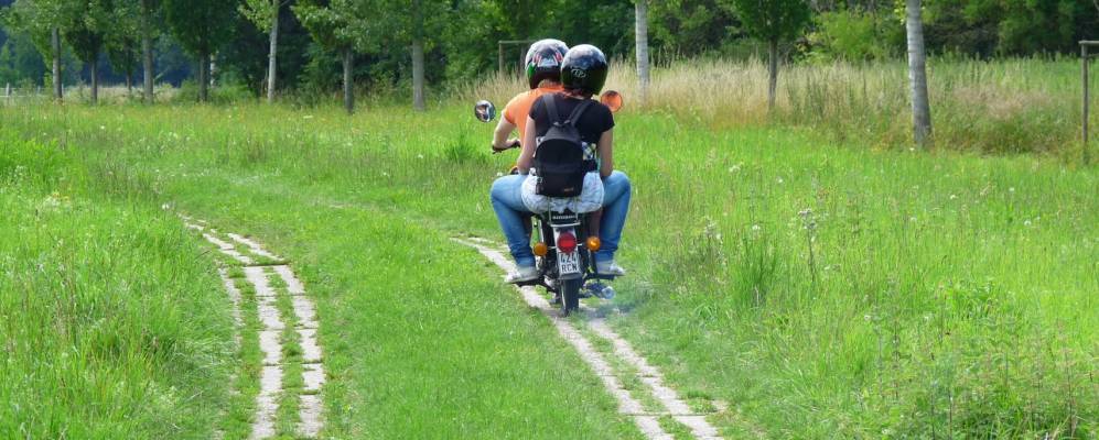 
            Фотография Готенслебена