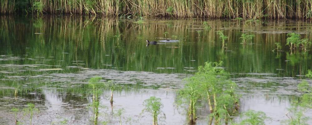 
            Фотография Новоилларионовского