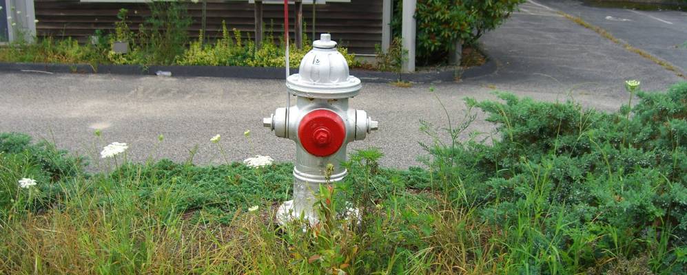 
            Фотография Эллсуорт