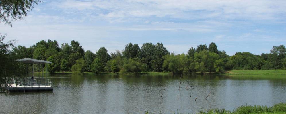 
            Фотография Гринвуда