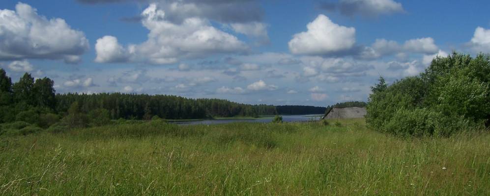 Фотография Заналючика