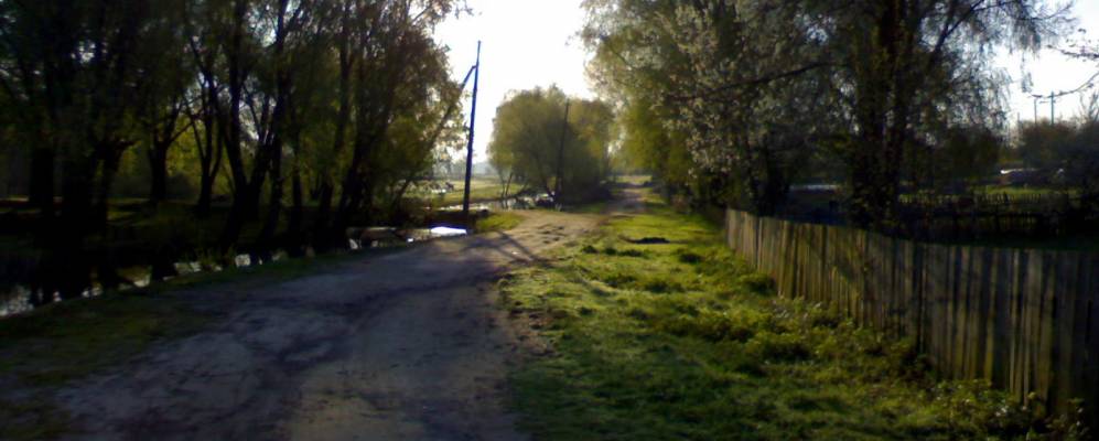 
            Фотография Кореневки