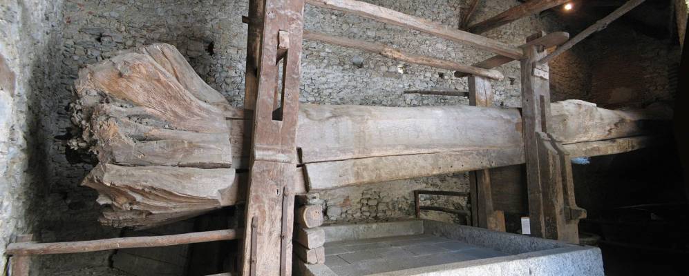 
            Фотография Аркумеджии