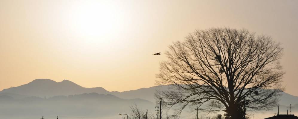 
            Фотография Адзумино