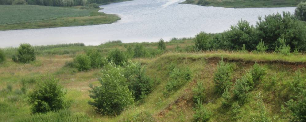 Фотография Саски Липки