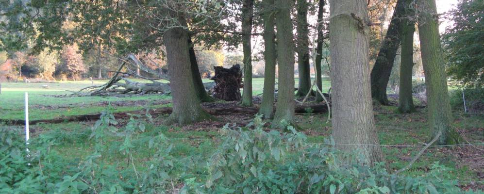 
            Фотография Metzingen