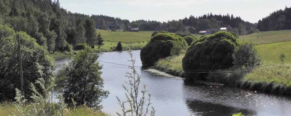 
            Фотография Лието