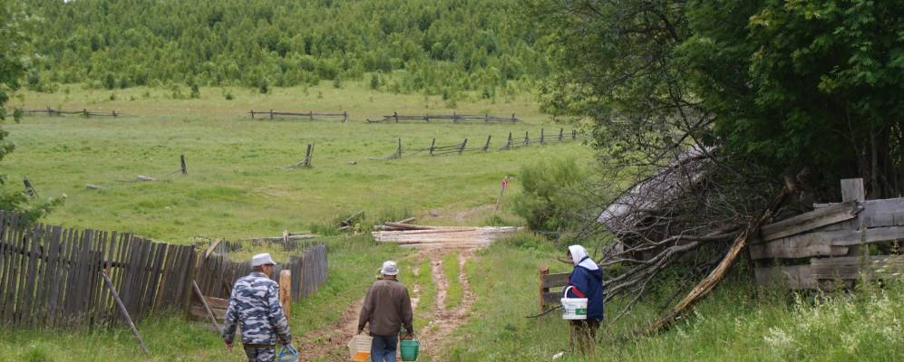 
            Фотография Девина