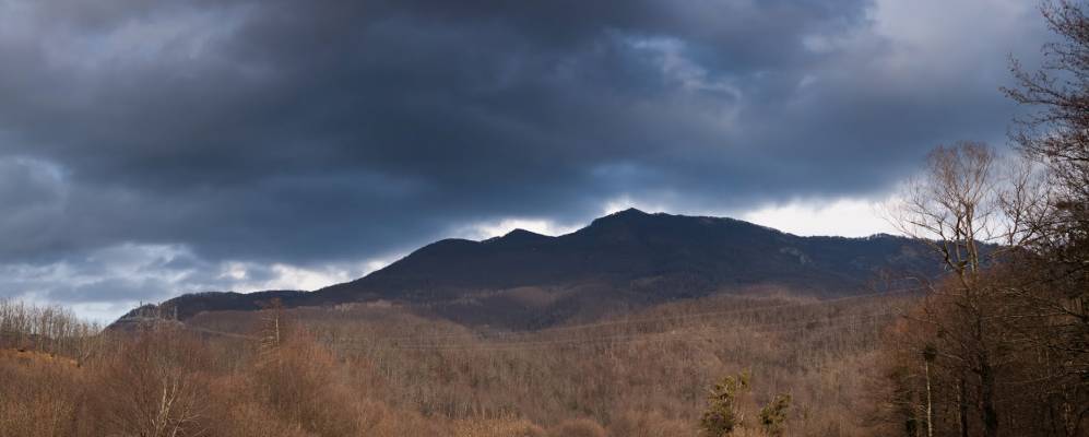 
            Фотография Анастасиевки