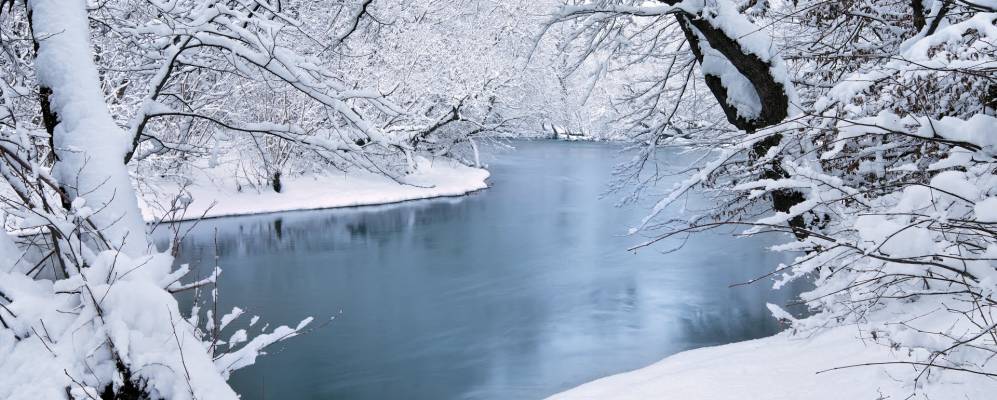 
            Фотография Вагна