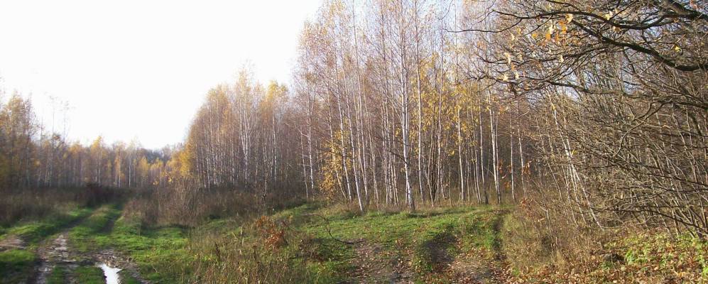 
            Фотография Каменки