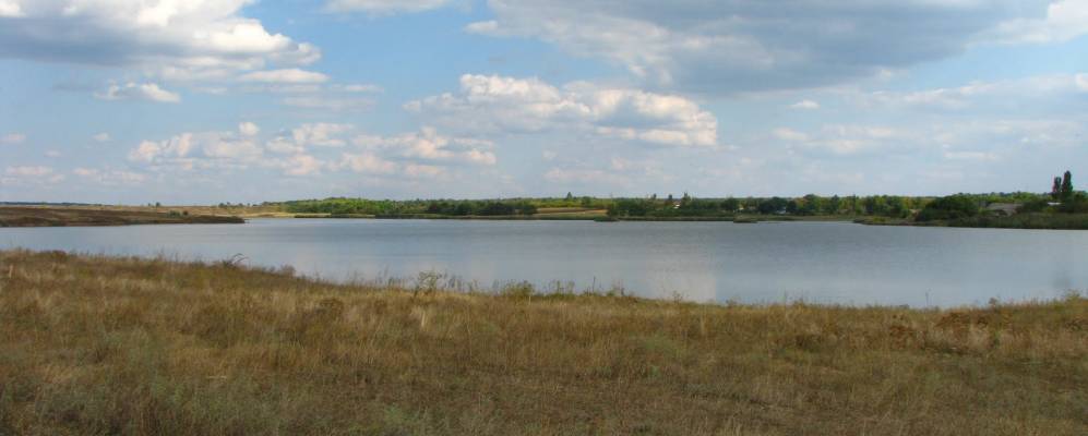 
            Фотография Вербового