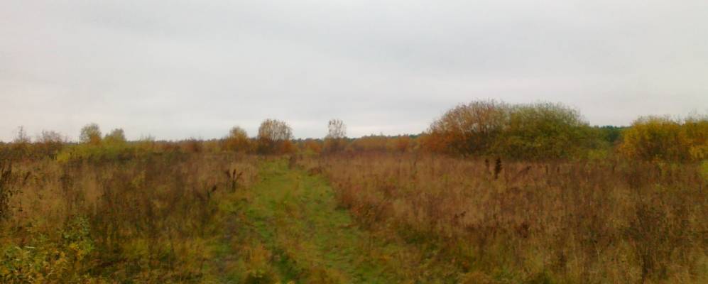 Фотография Дубровки