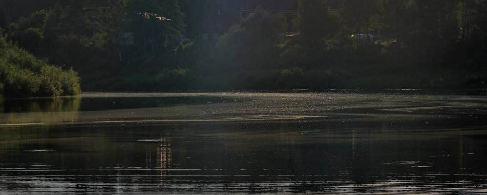 
            Фотография Новой