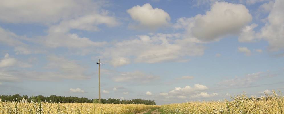 
            Фотография Фошни