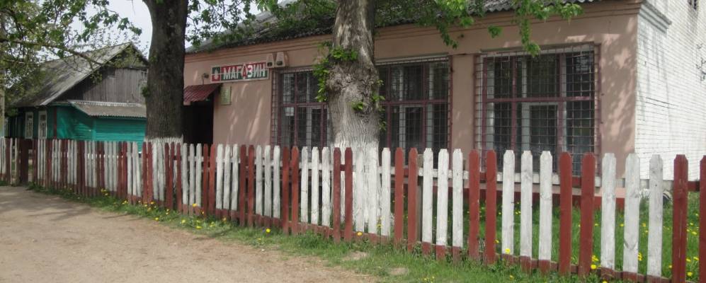 
            Фотография Явора