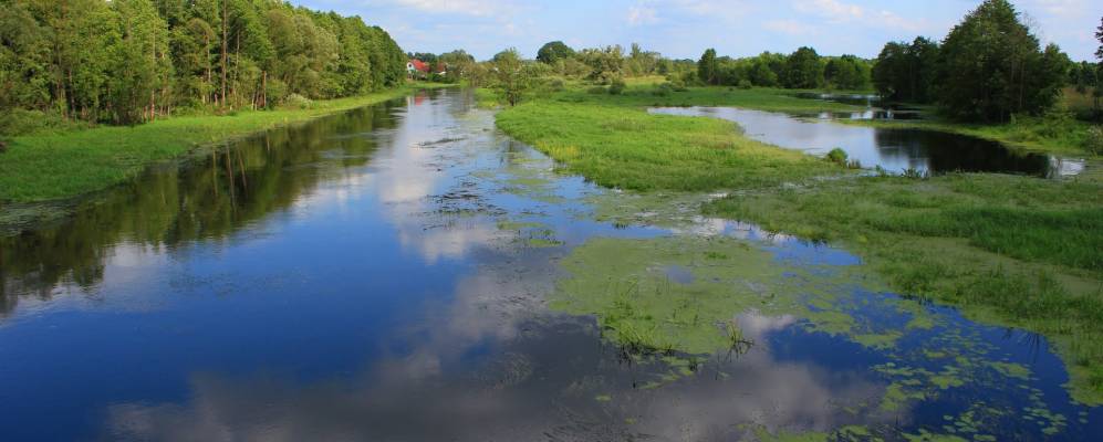 Фотография деревни Шумаки