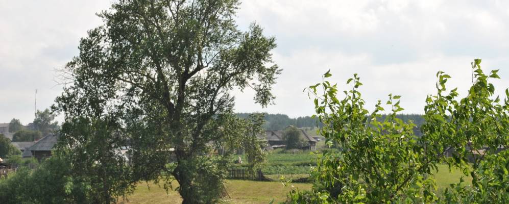 
            Фотография Суды