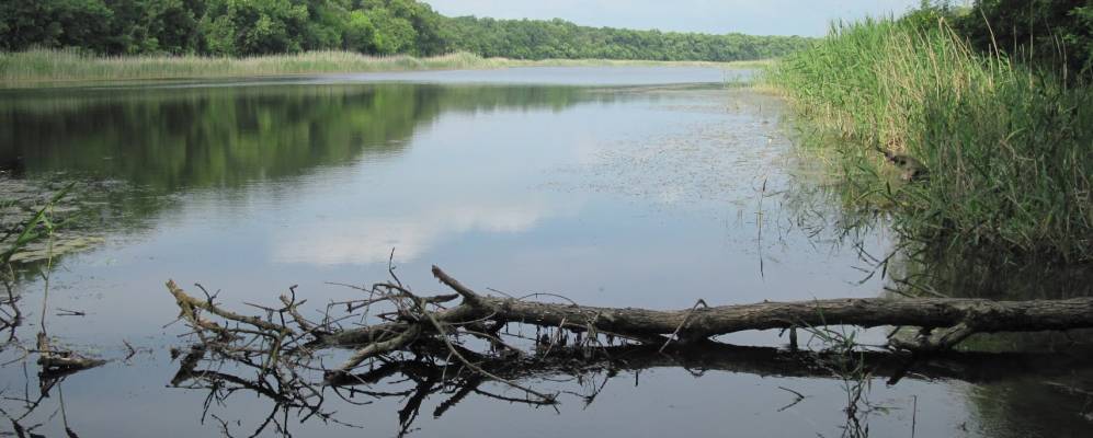 
            Фотография Весёлого