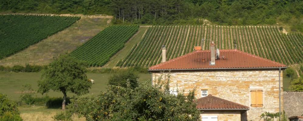 
            Фотография Аза