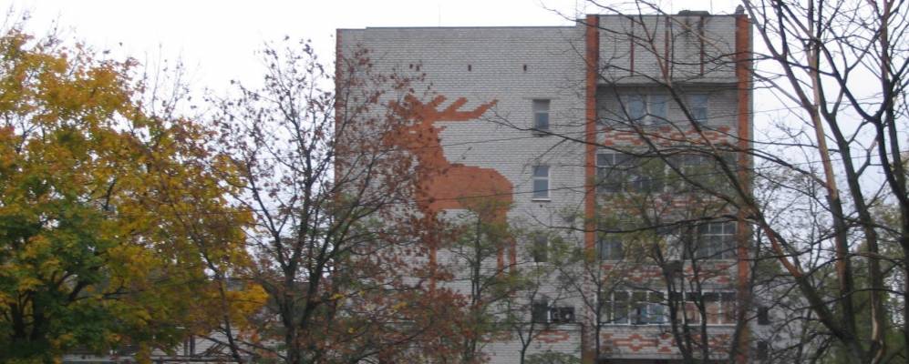 
            Фотография Круглого