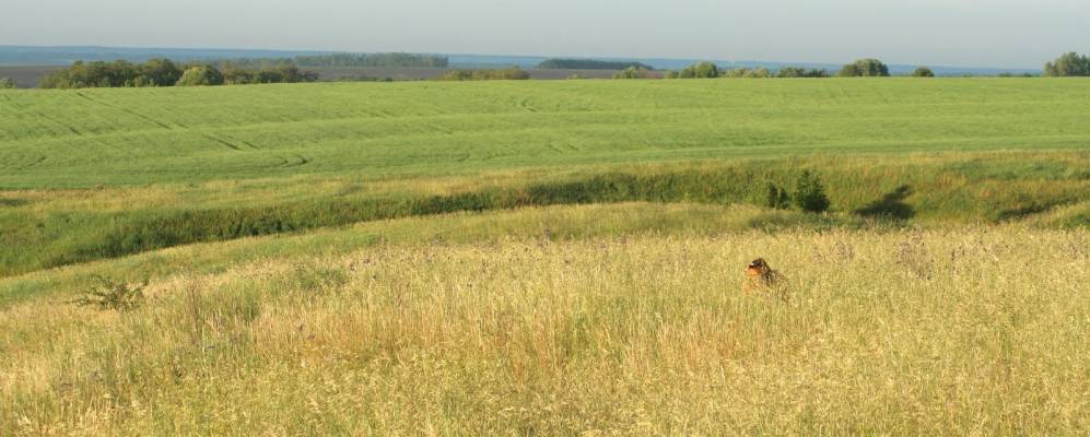 
            Фотография Родников