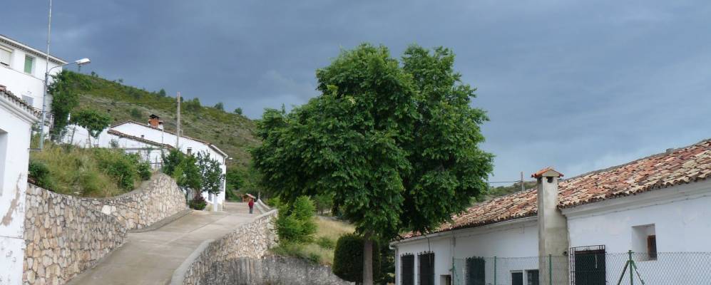 
            Фотография Уэламо