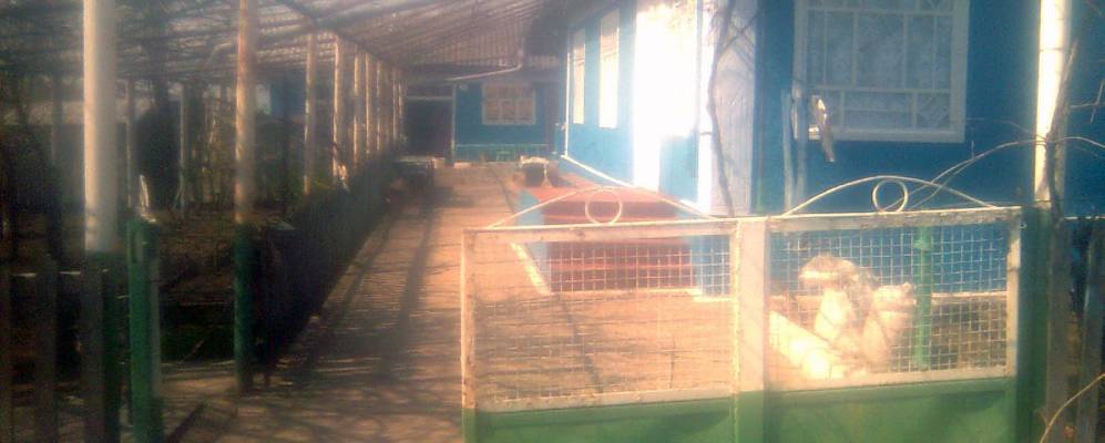 
            Фотография Падрецево