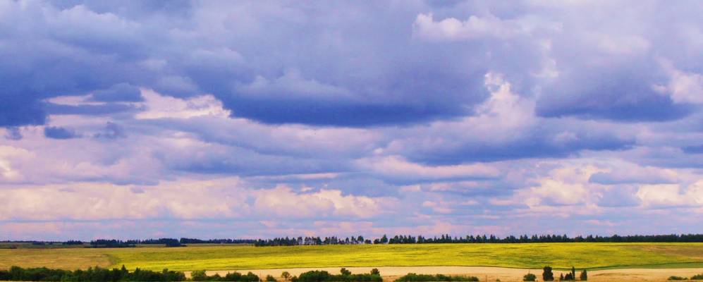 Фотография Скакуна