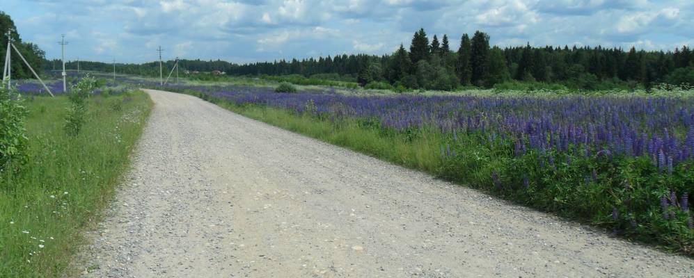 
            Фотография Волосово