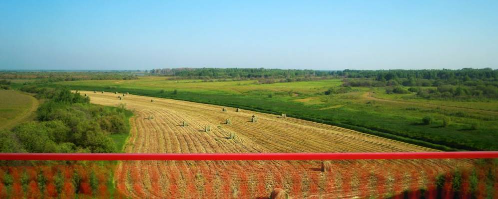 Фотография Казакова