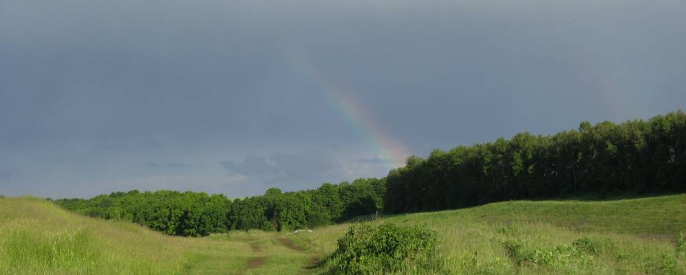 
            Фотография Ольховки