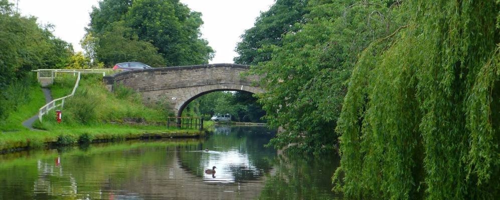 
            Фотография Парболда