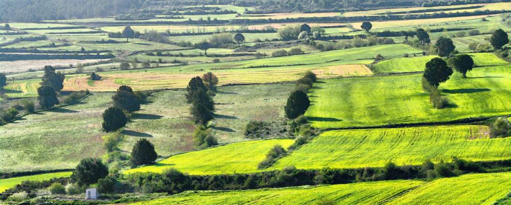 Фотография Moscardón