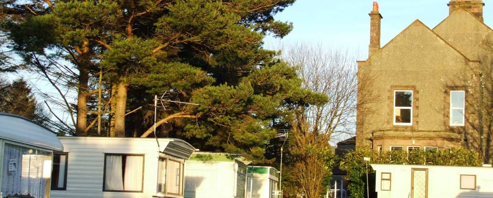 
            Фотография Кокермута