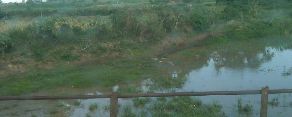 
            Фотография Ати Ривера