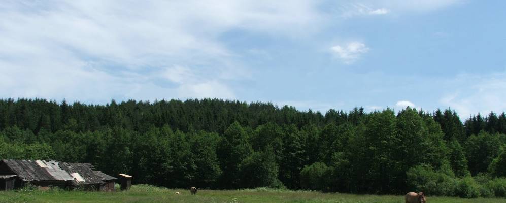 
            Фотография деревни Ворошилы